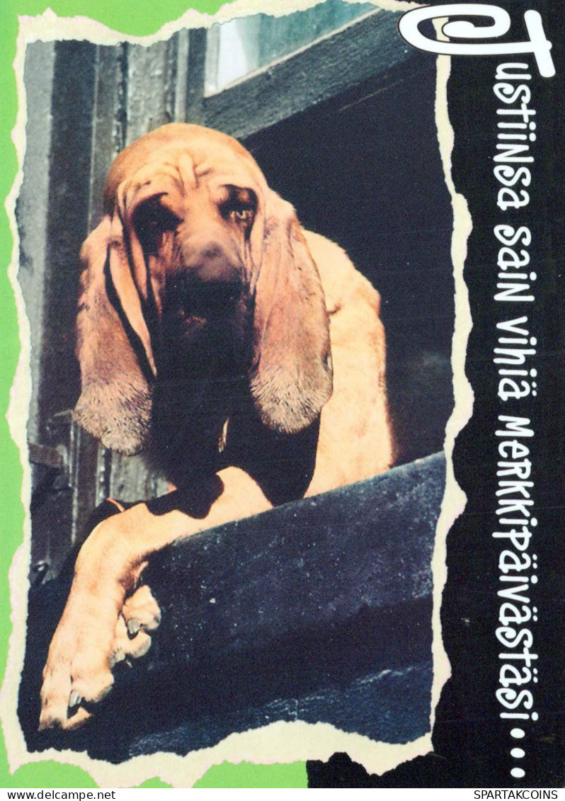 DOG Animals Vintage Postcard CPSM #PBQ393.A - Chiens
