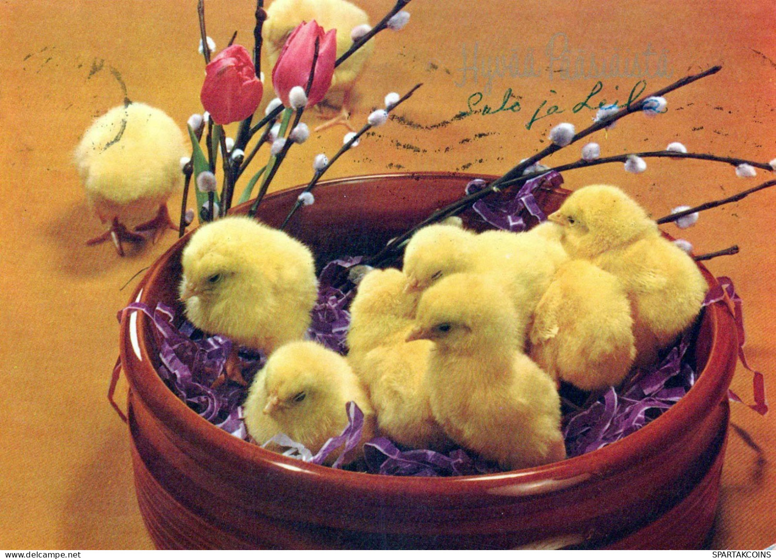 PÂQUES POULET Vintage Carte Postale CPSM #PBO949.A - Ostern