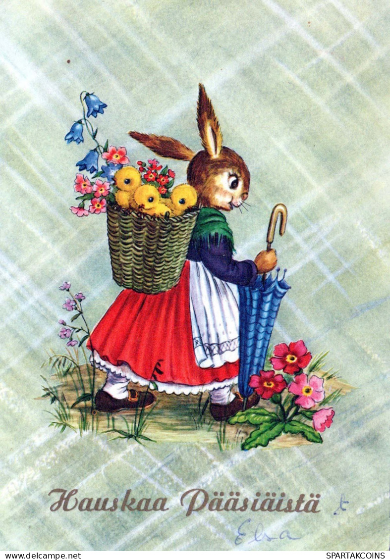 EASTER RABBIT Vintage Postcard CPSM #PBO366.A - Ostern