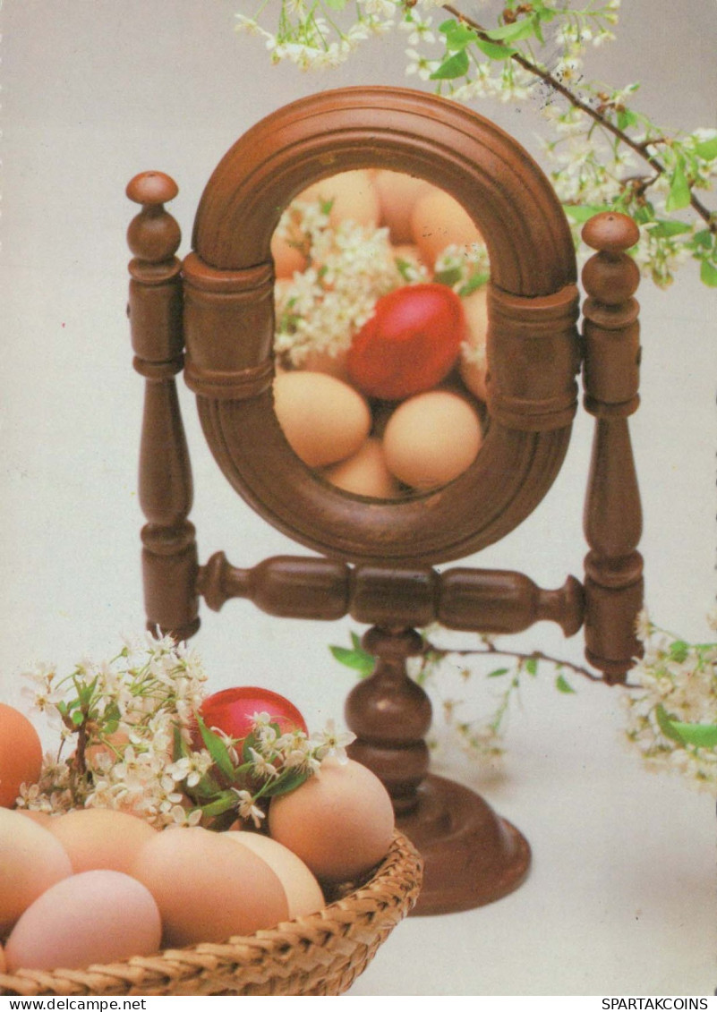PASQUA UOVO Vintage Cartolina CPSM #PBO188.A - Easter