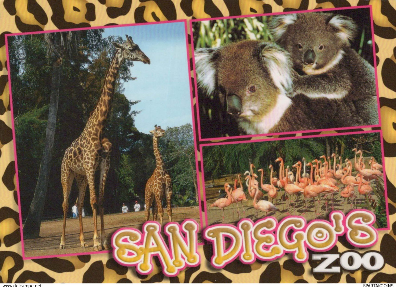 GIRAFFE Animals Vintage Postcard CPSM #PBS945.A - Giraffen