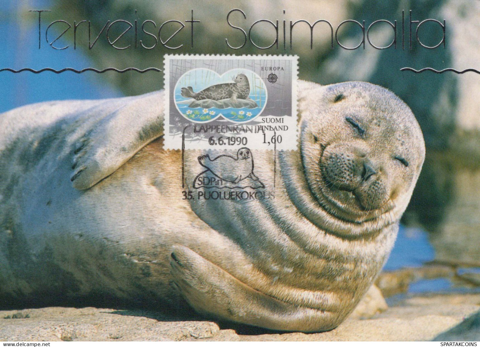 SEAL Animals Vintage Postcard CPSM #PBS640.A - Autres & Non Classés