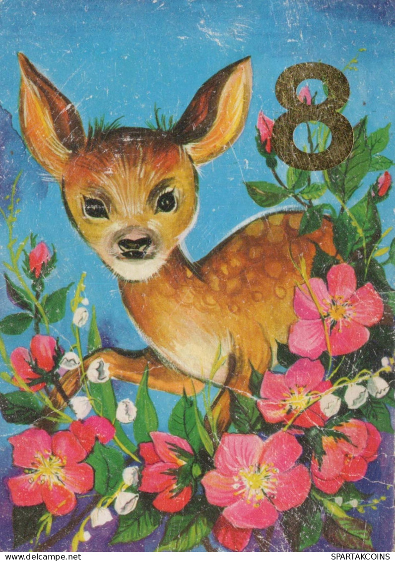 DEER Animals Vintage Postcard CPSM #PBS565.A - Other & Unclassified