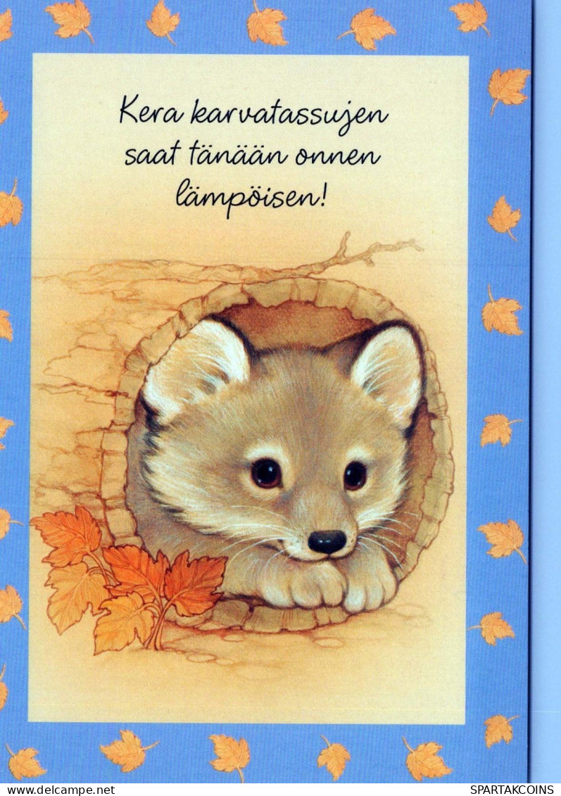 FOX Animals Vintage Postcard CPSM #PBS065.A - Autres & Non Classés