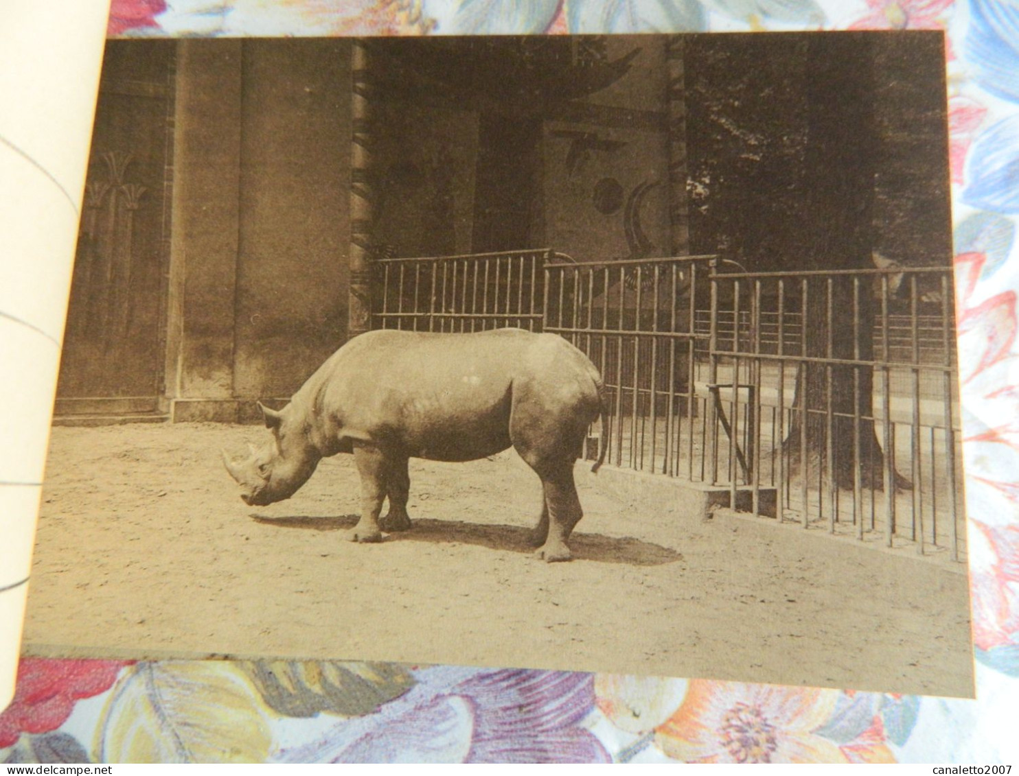 ANVERS  : LOT DES  CARNETS 1/2/3/4  DE 40 CARTES POSTALES   DU ZOO D'ANVERS - Antwerpen