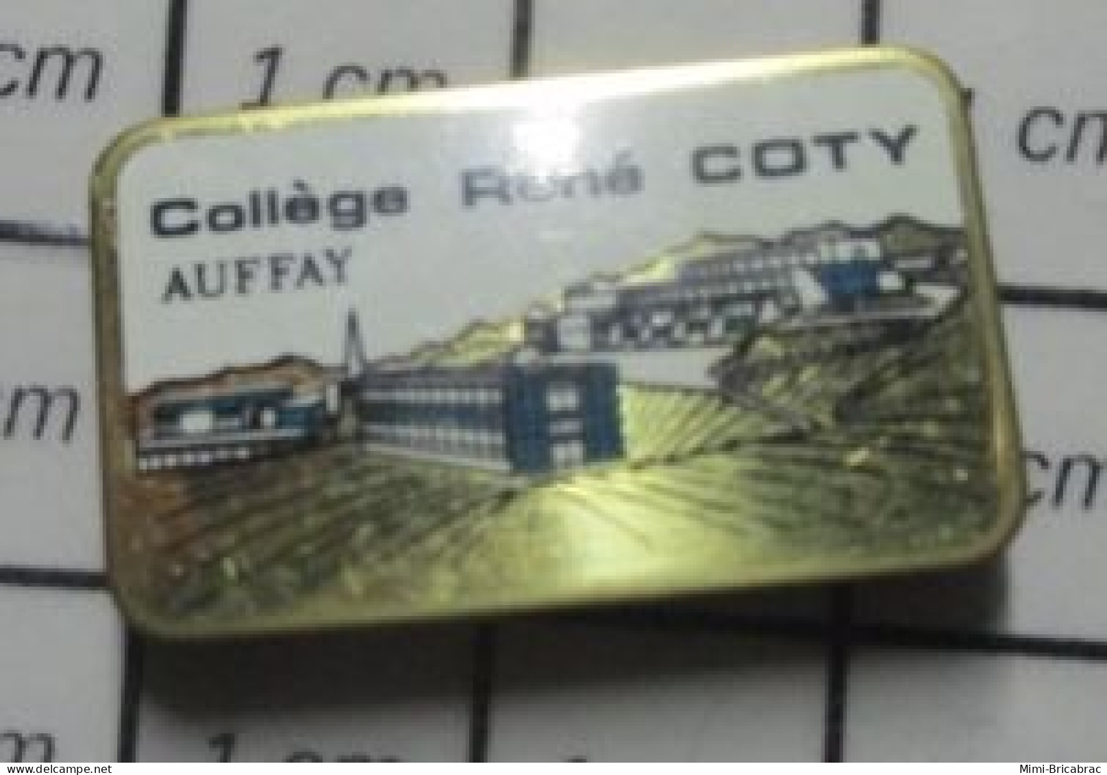 710a Pin's Pins / Beau Et Rare / ADMINISTRATIONS / COLLEGE RENE COTY AUFFAY-CARABOSSE ? Seine-Maritime, En Norman - Amministrazioni