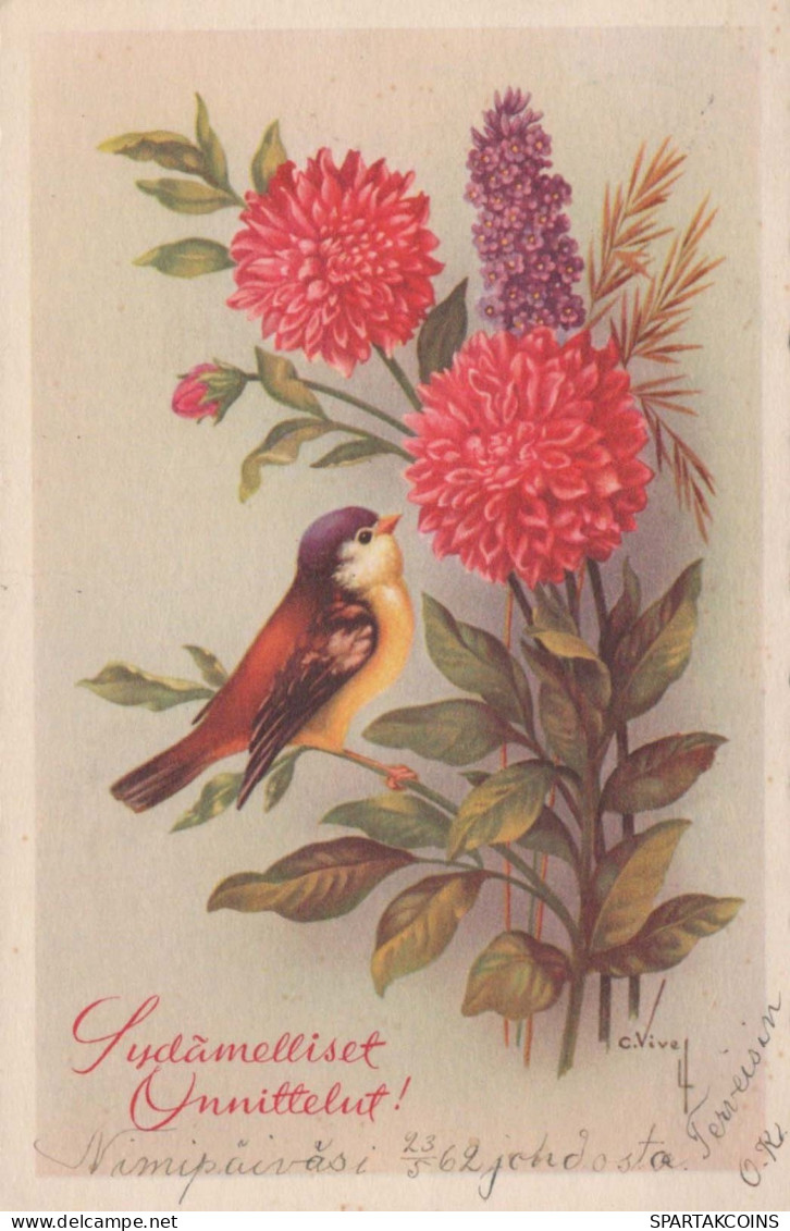 FIORI Vintage Cartolina CPSMPF #PKG106.A - Fleurs