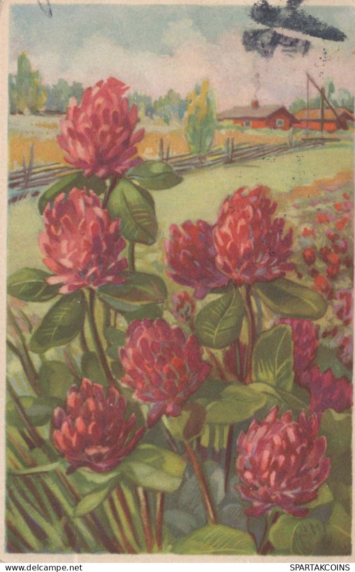 FLEURS Vintage Carte Postale CPSMPF #PKG032.A - Flowers