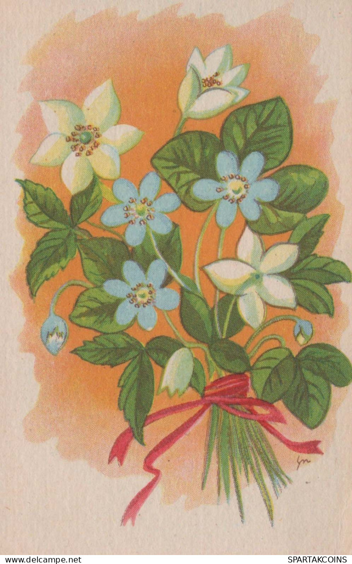 FIORI Vintage Cartolina CPSMPF #PKG016.A - Flowers