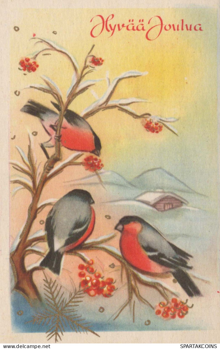 Buon Anno Natale UCCELLO Vintage Cartolina CPA #PKE843.A - Neujahr