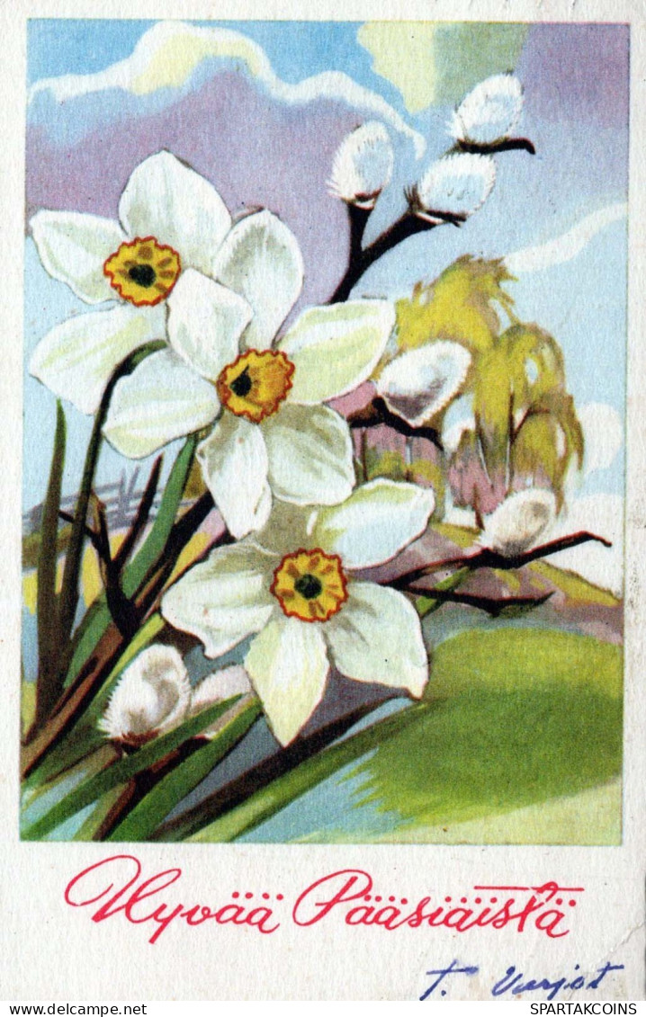 FLOWERS Vintage Ansichtskarte Postkarte CPA #PKE260.A - Blumen