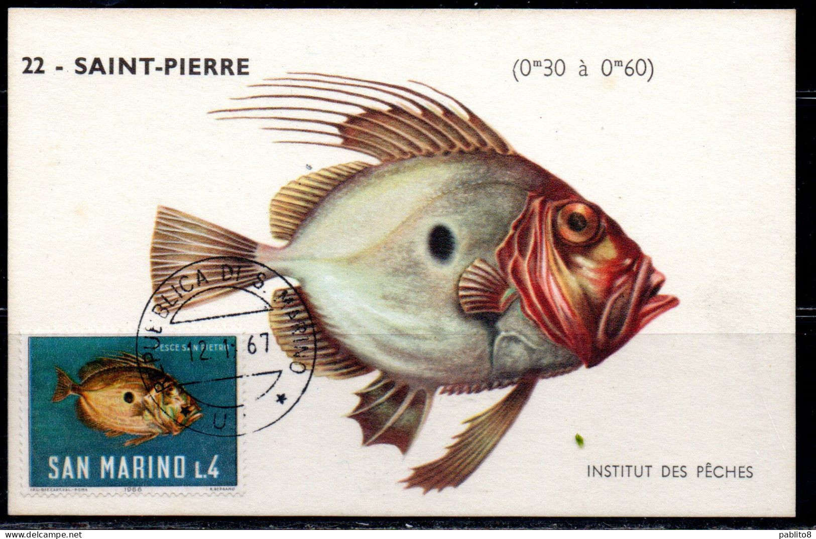 REPUBBLICA DI SAN MARINO 1967 PESCHI FISHES POISSONS PESCE SAN S. PIETRO LIRE 4 MAXI MAXIMUM CARD CARTOLINA CARTE - FDC