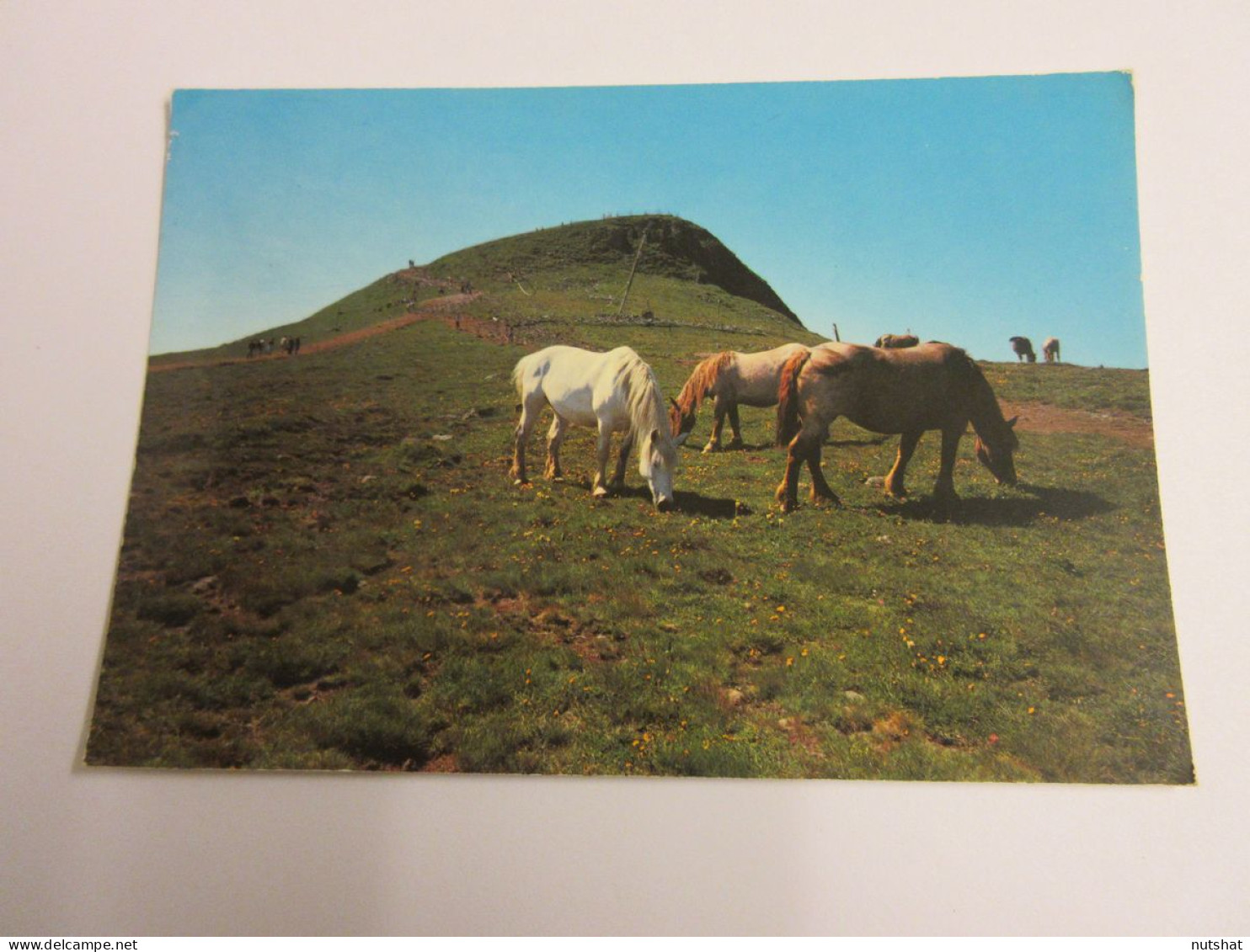 CP CARTE POSTALE CANTAL PLOMB Du CANTAL - Ecrite En 1989 - Autres & Non Classés