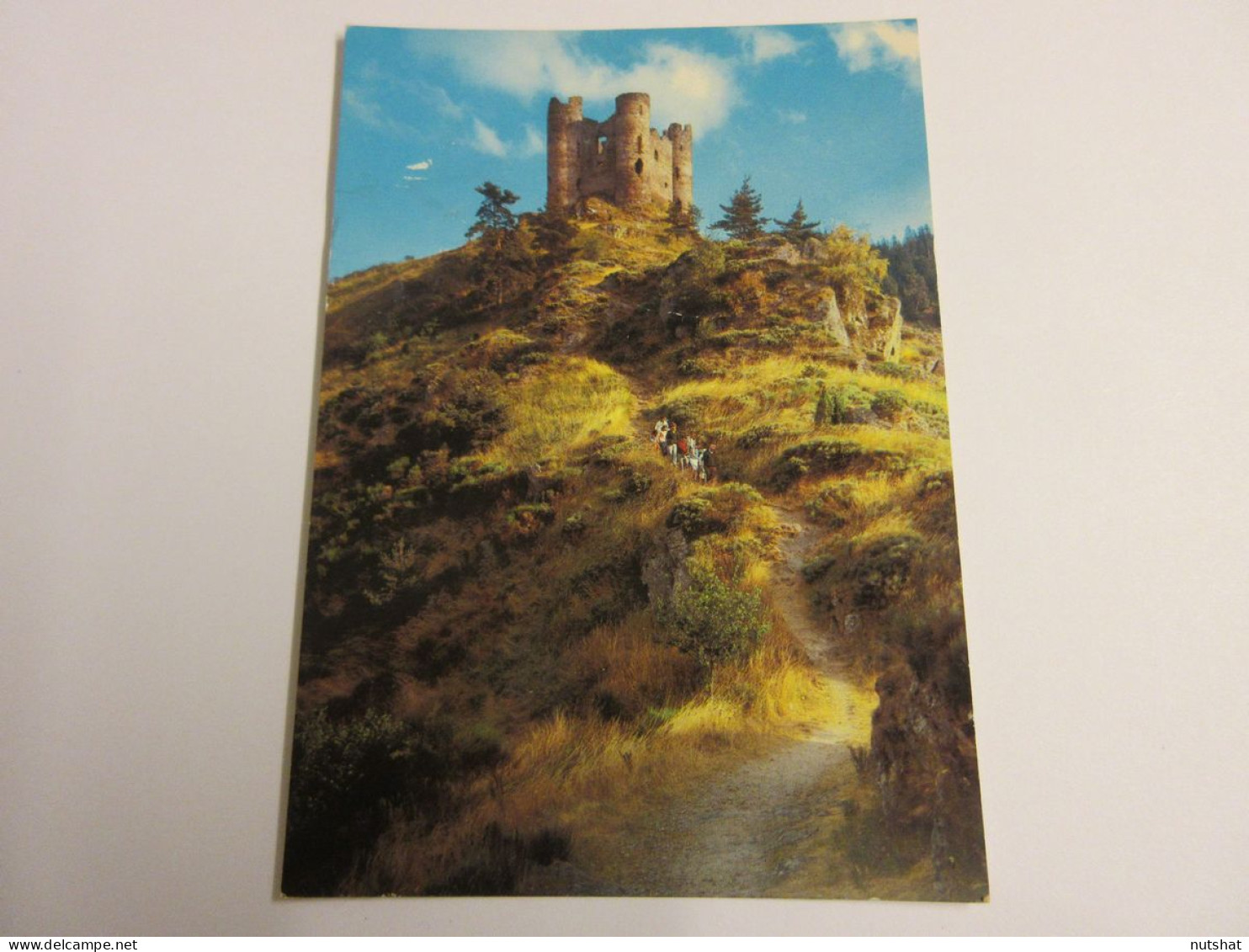 CP CARTE POSTALE CANTAL SAINT FLOUR Le CHATEAU D'ALLEUZE - Vierge - Saint Flour