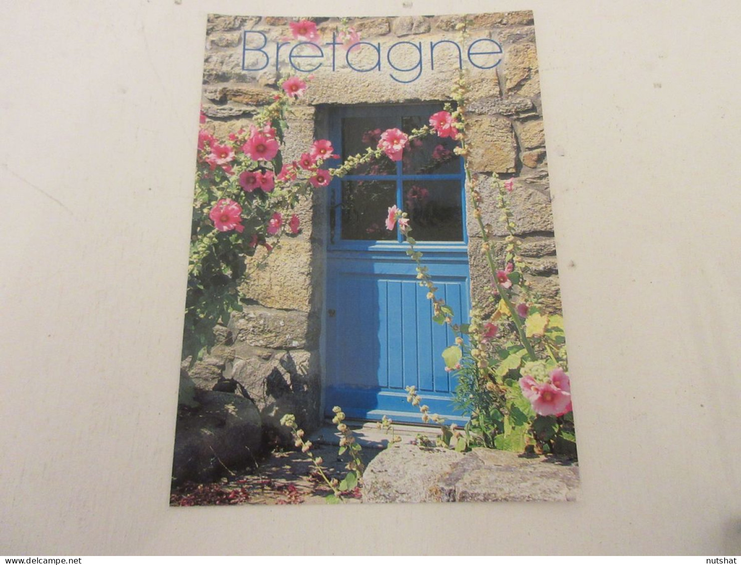 CP CARTE POSTALE BRETAGNE CHOSES SIMPLES ROSES TREMIERES Ou PASSEROSES - Bretagne