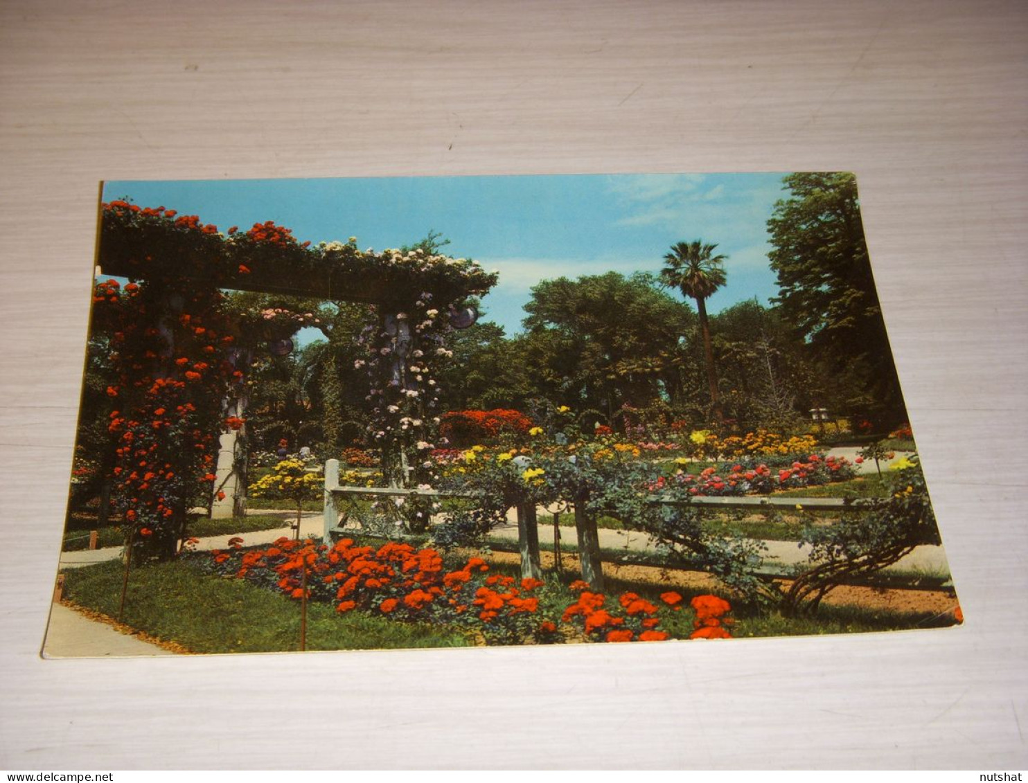 CP CARTE POSTALE BOUCHES Du RHONE MARSEILLE PARC BORELY La ROSERAIE - VIERGE - Parks, Gärten