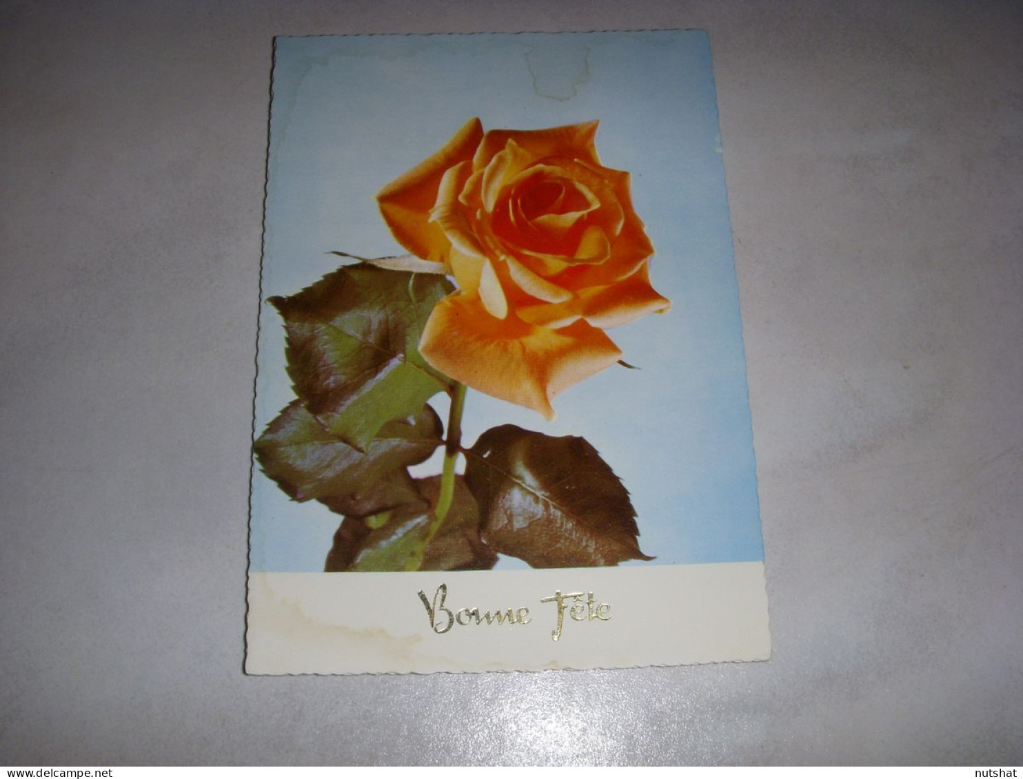 CP CARTE POSTALE BONNE FETE FLEURS 1 ROSE ORANGE FOND BLEU - Vierge - Sonstige & Ohne Zuordnung