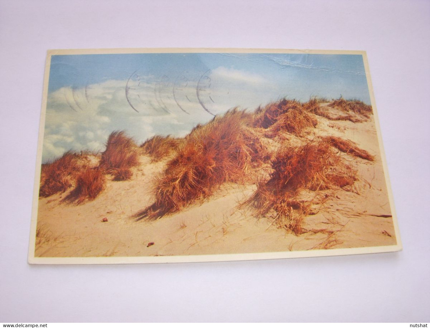 CP CARTE POSTALE BELGIQUE DUNES - Ecrite En 1966 - Sonstige & Ohne Zuordnung