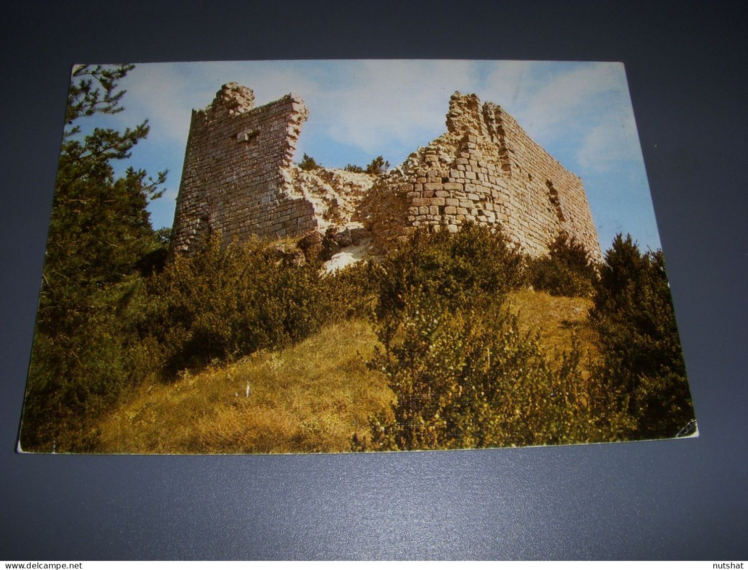 CP CARTE POSTALE AVEYRON St JEAN Du BRUEL CHATEAU D'ALGUES - Ecrite - Autres & Non Classés