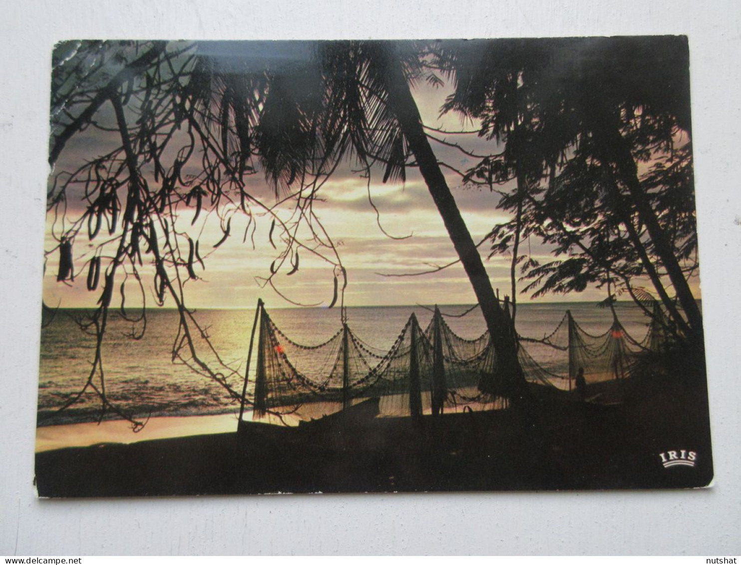 CP CARTE POSTALE ANTILLES MARTINIQUE COUCHER De SOLEIL Sur La COTE CARAIBE       - Other & Unclassified