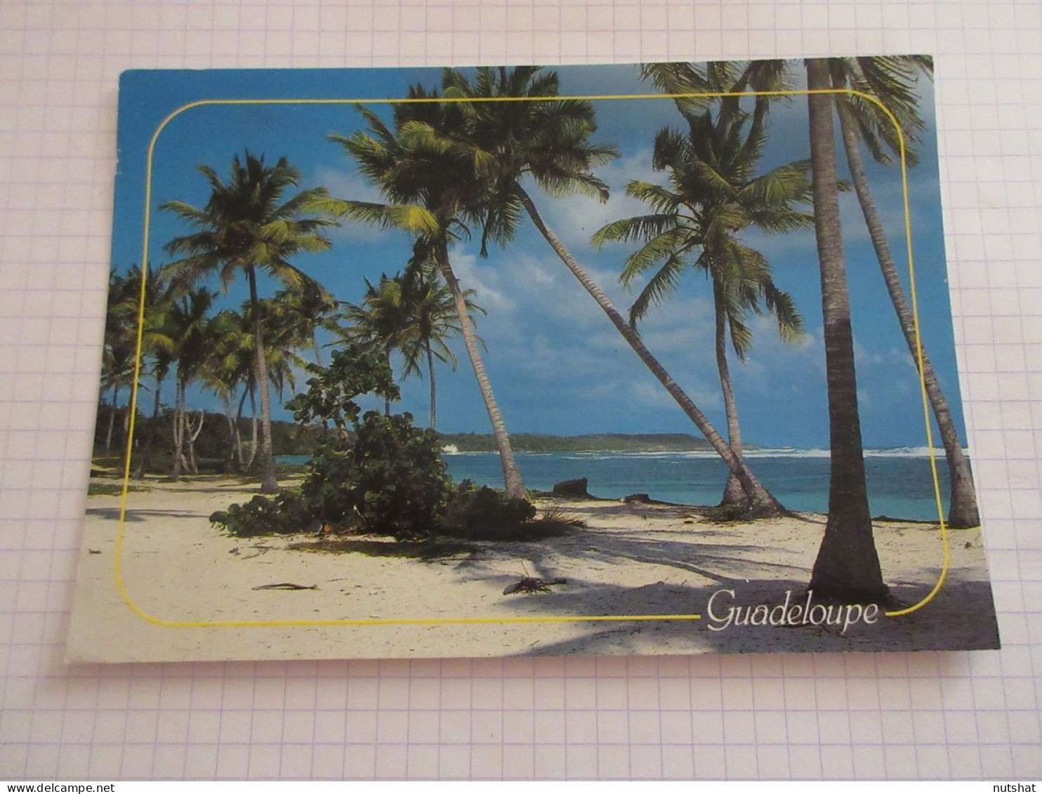 CP CARTE POSTALE ANTILLES GUADELOUPE SAINTE ANNE PLAGE De BOIS JOLAN             - Autres & Non Classés