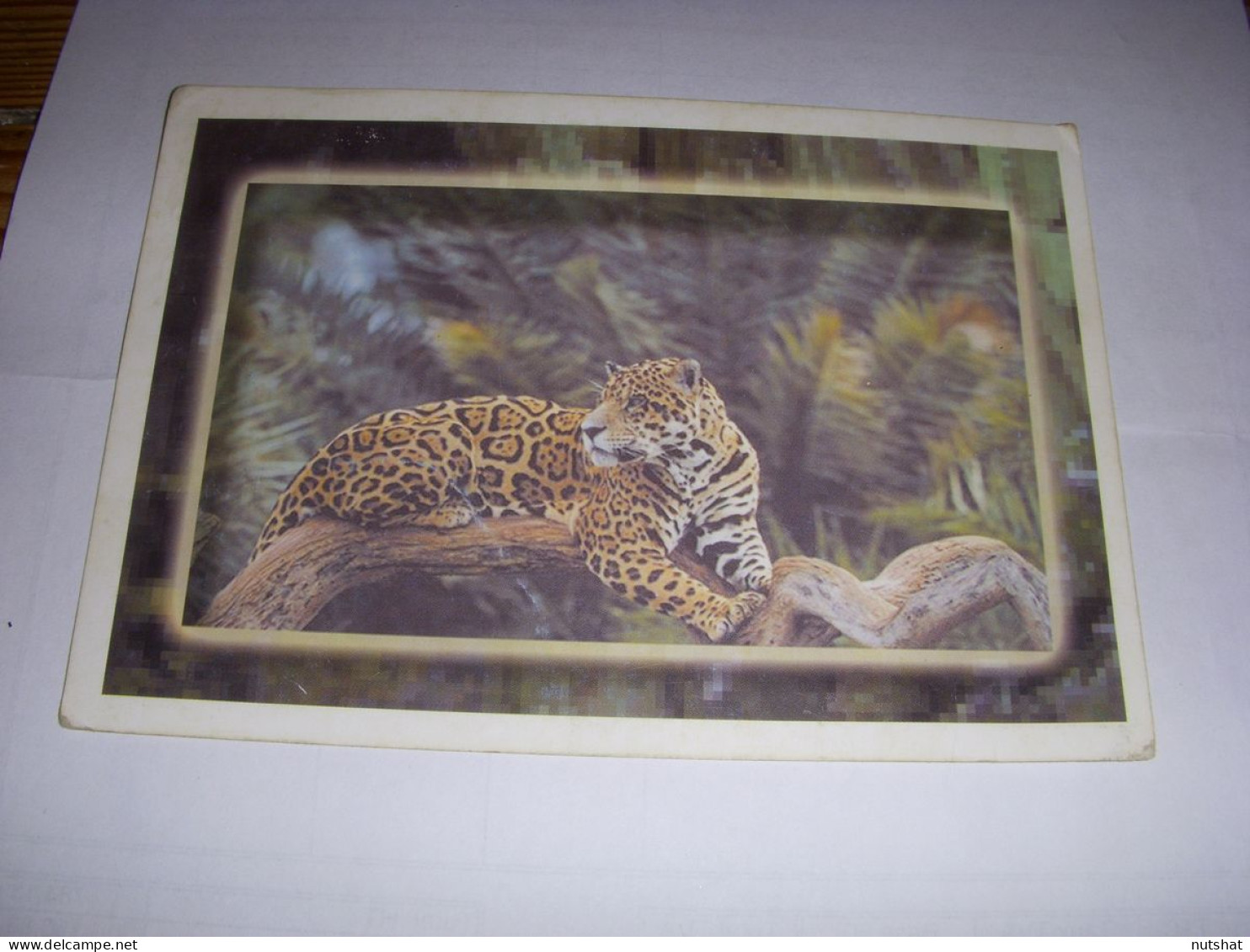 CP CARTE POSTALE ANIMAUX LEOPARD Sur Une BRANCHE - VIERGE - Autres & Non Classés