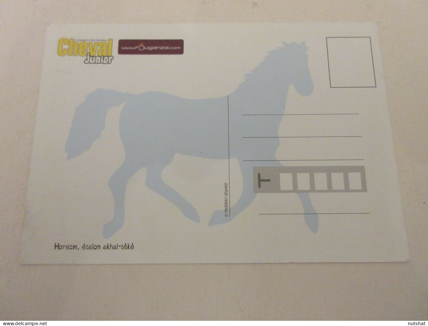 CP CARTE POSTALE ANIMAUX CHEVAL HOREZM ETALON AKHAL TEKE - Vierge - Andere & Zonder Classificatie