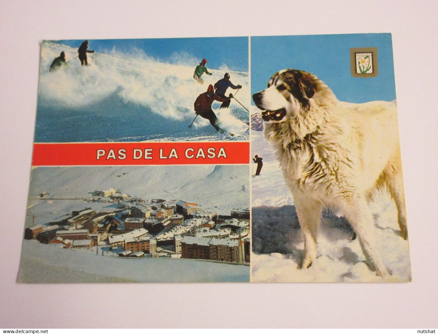 CP CARTE POSTALE ANDORRE PAS De La CASE VUES DIVERSES - Ecrite En 1984 - Andorra