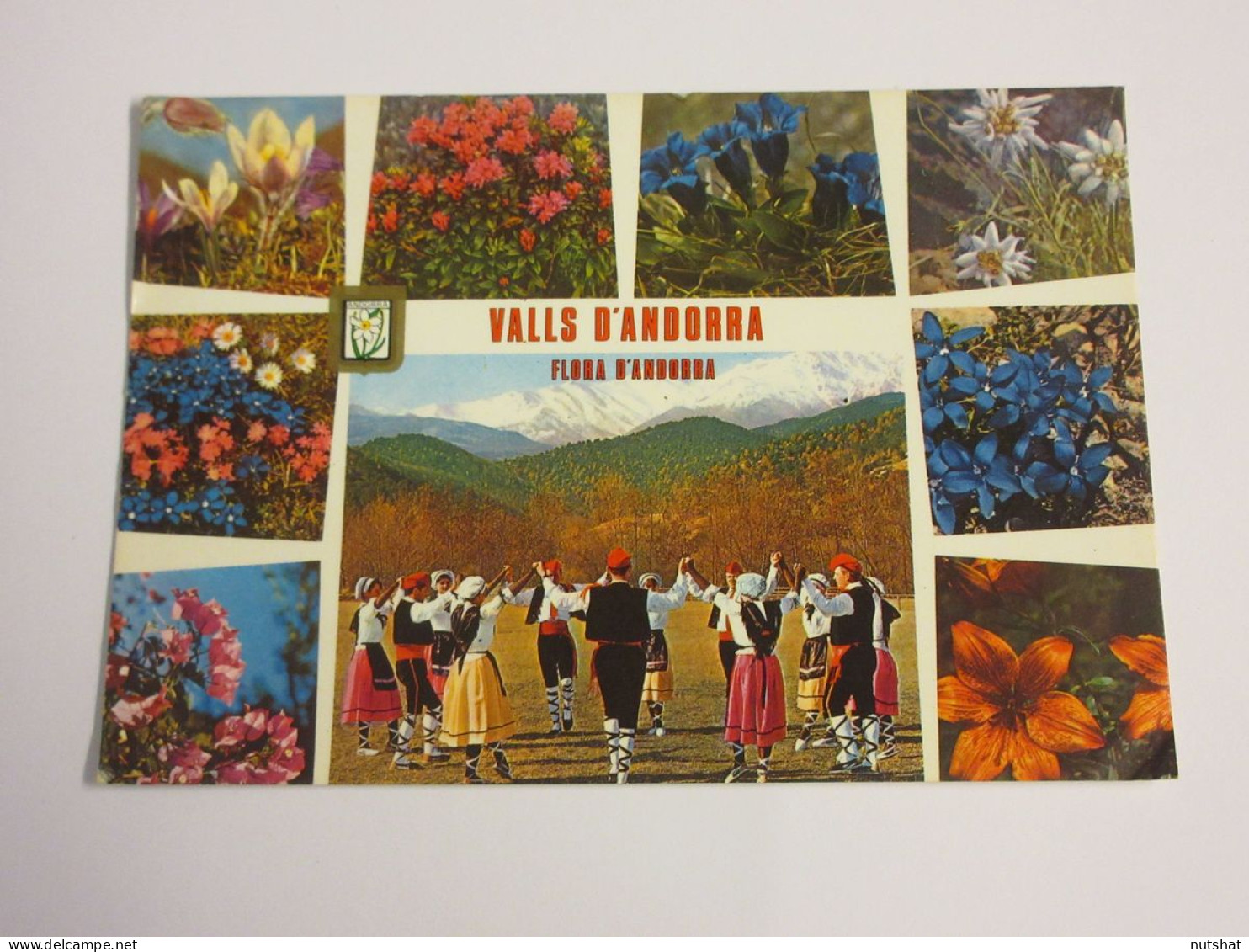 CP CARTE POSTALE ANDORRE FLORE FLEURS Et FOLKLORE D'ANDORRE - Ecrite En 1983 - Andorre