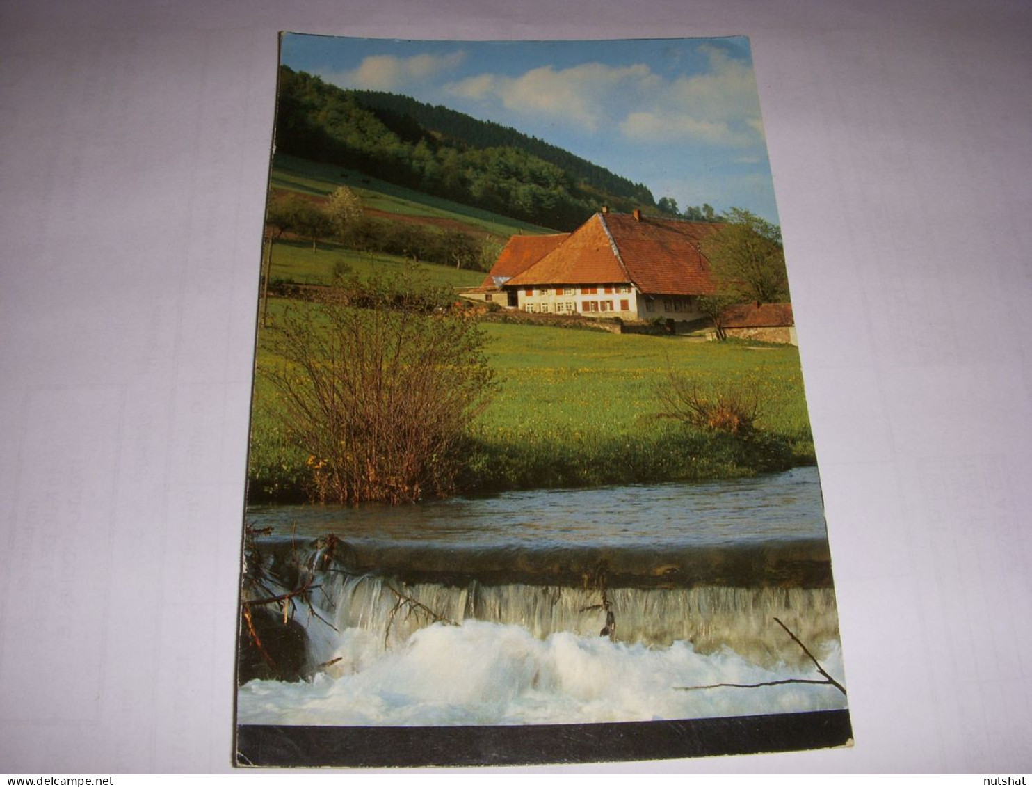 CP CARTE POSTALE ALLEMAGNE STEINEN PAYSAGE - ECRITE - Sonstige & Ohne Zuordnung