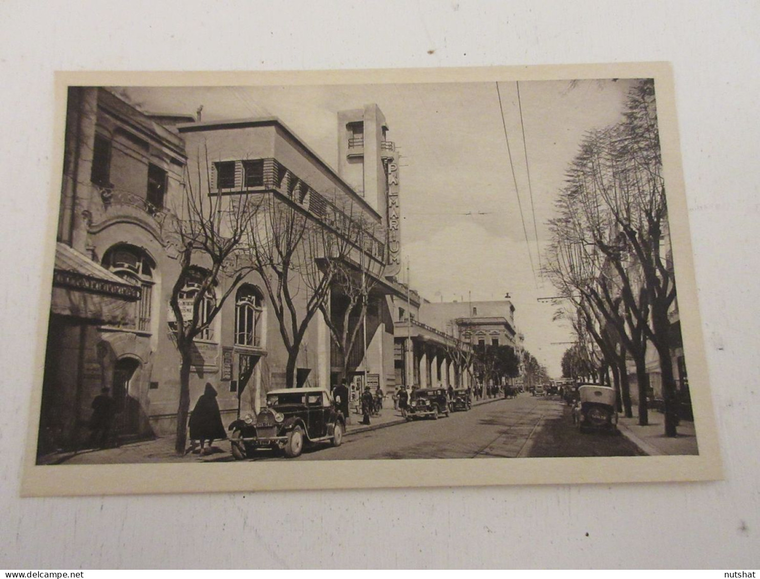 CP CARTE POSTALE AFRIQUE TUNISIE TUNIS AVENUE De CARTHAGE Le PALMARIUM - Vierge - Tunesië