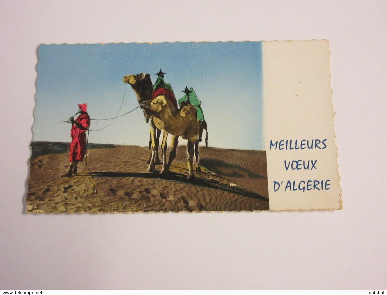 CP CARTE POSTALE AFRIQUE ALGERIE CHAMEAUX Et CHAMELIER - Carte De Voeux 1957     - Szenen