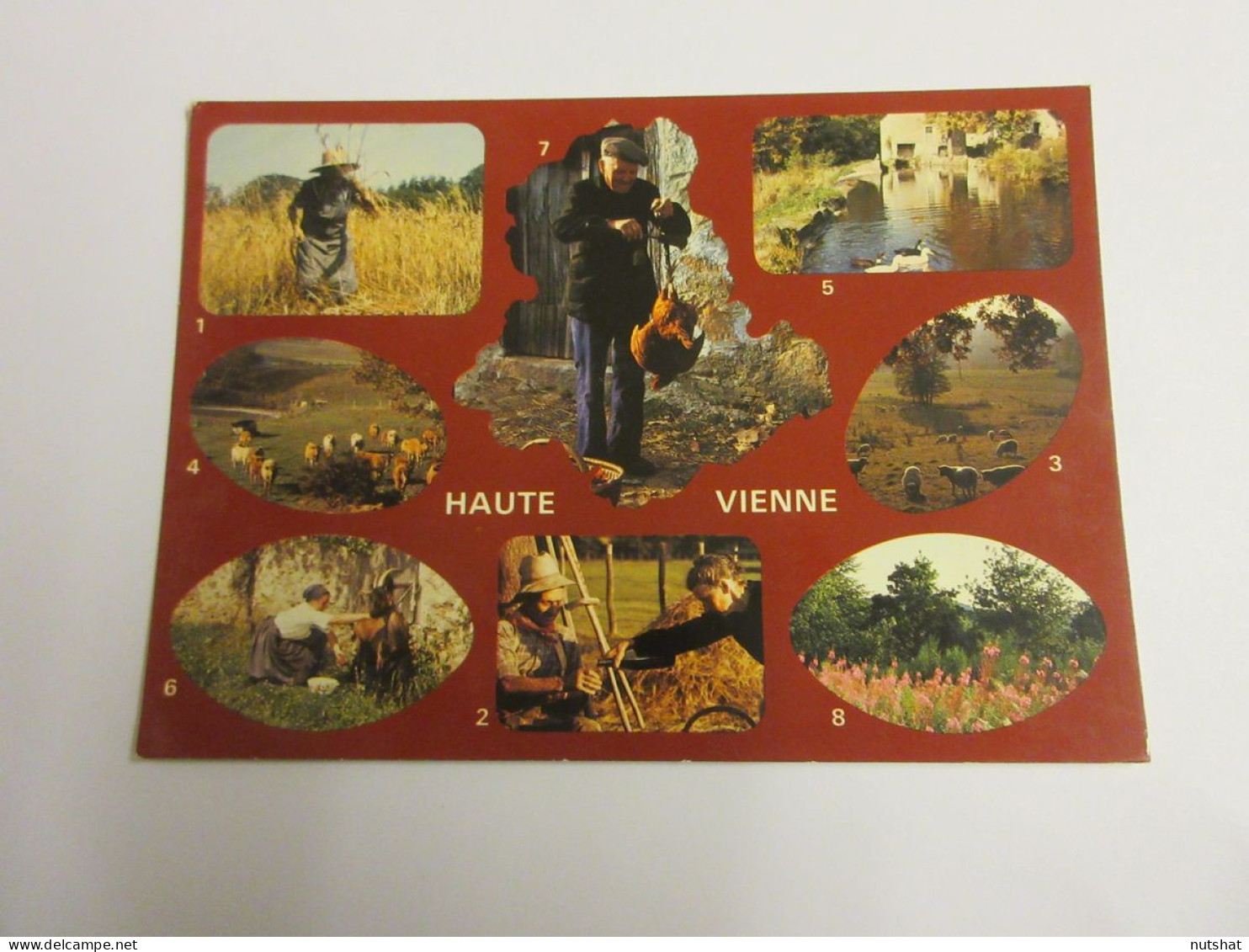 CP CARTE POSTALE HAUTE VIENNE VUES DIVERSES MOISSONS MOUTONS PAYSANS - Ecrite - Autres & Non Classés