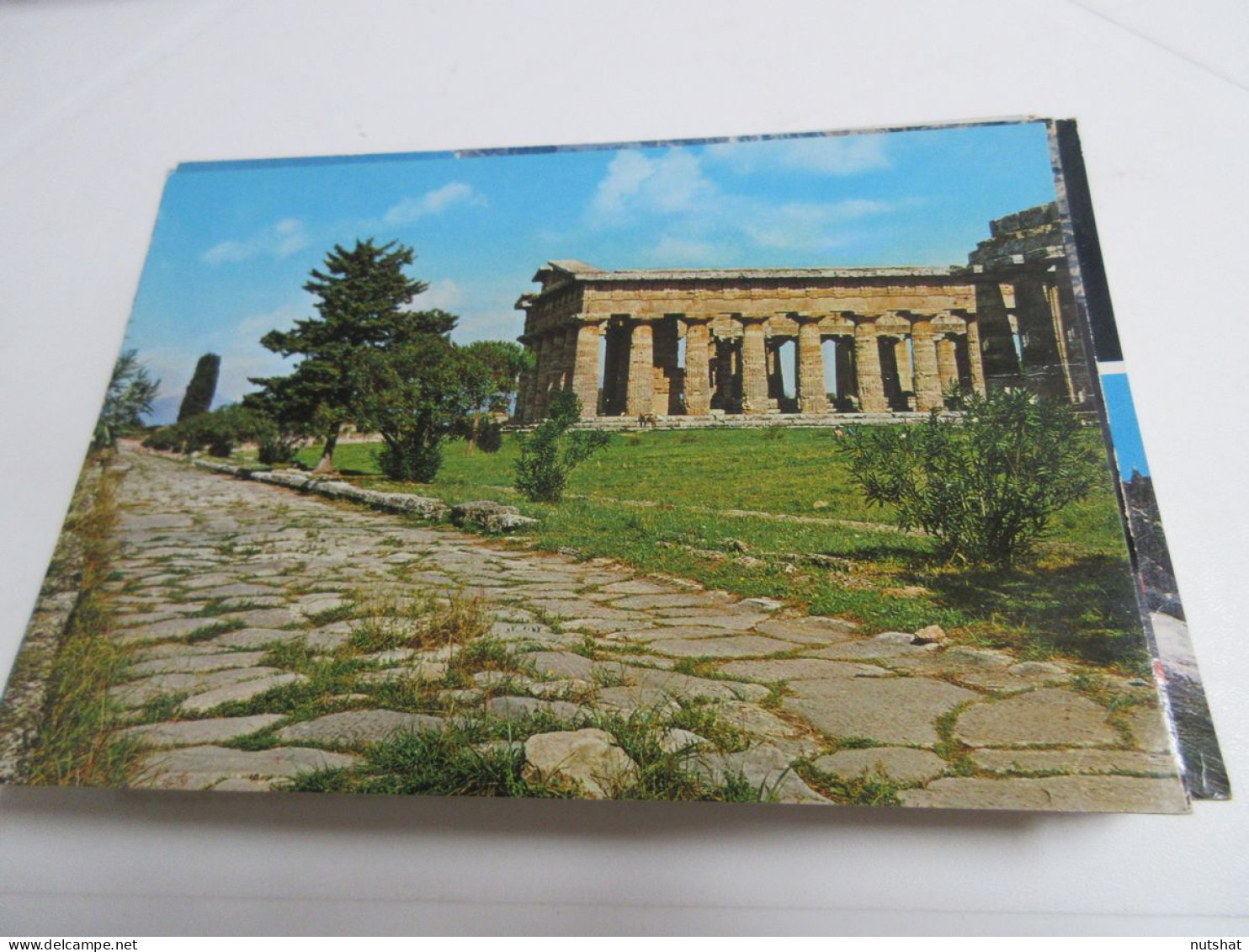 CP CARTE POSTALE GRECE PAESTUM VOIE SACREE TEMPLE De NEPTUNE BASILIQUE - Vierge - Griechenland