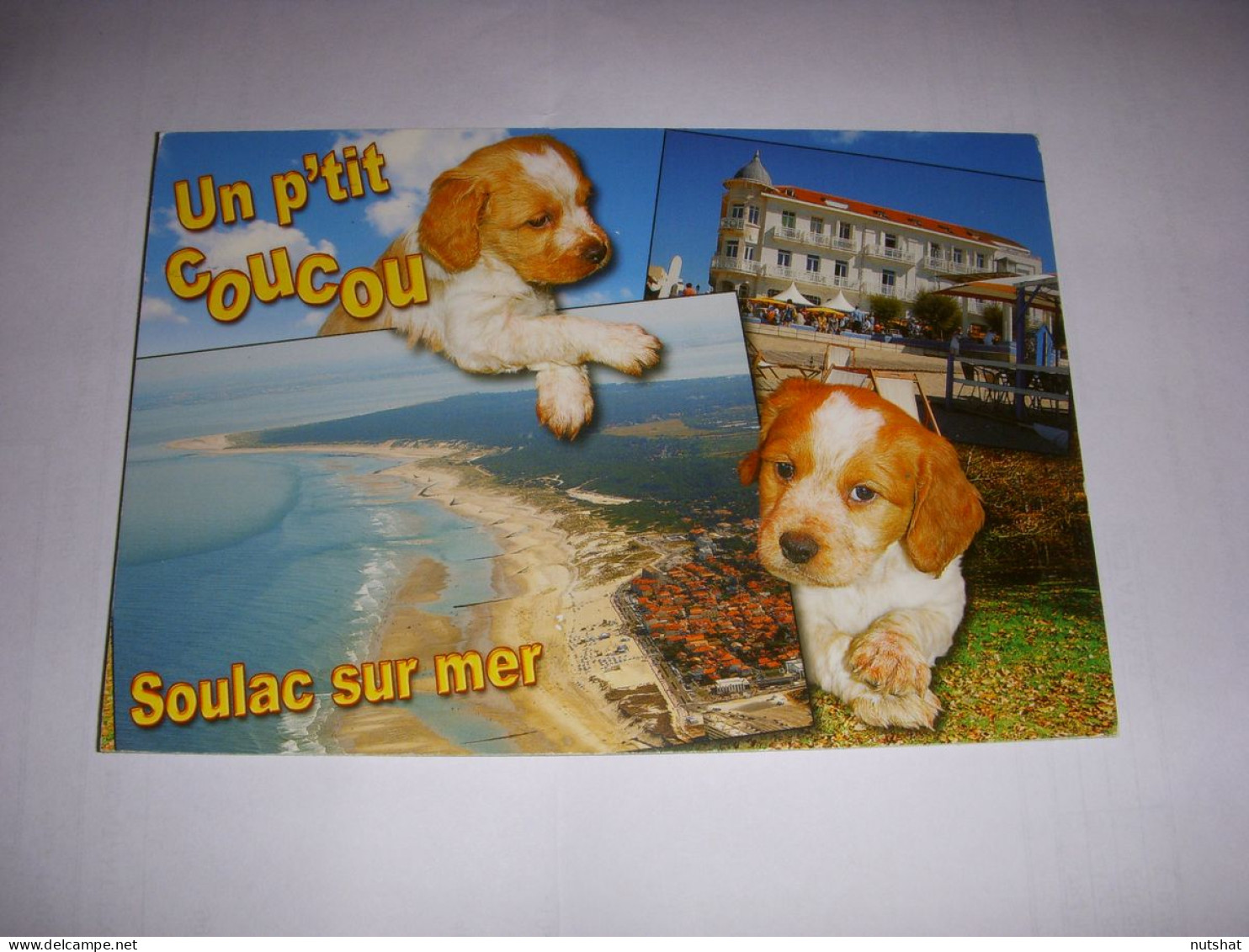 CP CARTE POSTALE GIRONDE SOULAC Sur MER STATION BALNEAIRE - ECRITE - Soulac-sur-Mer