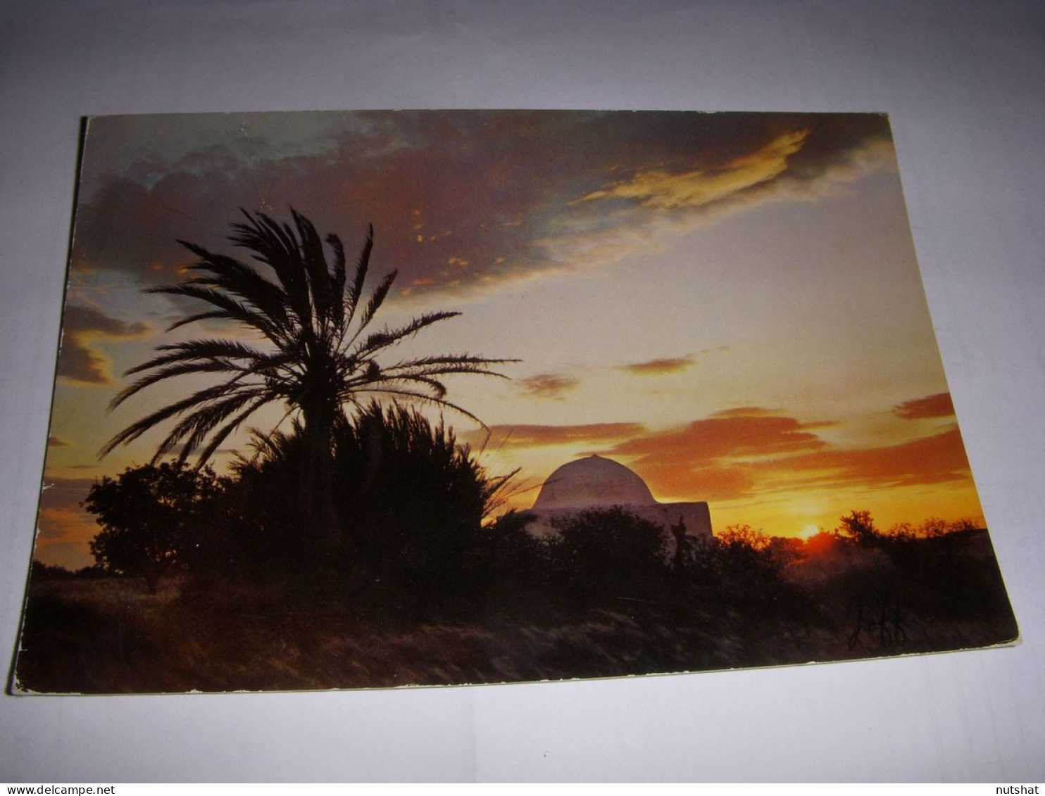 CP CARTE POSTALE FRANCE COUCHER De SOLEIL Dans Le SUD - ECRITE - Autres & Non Classés