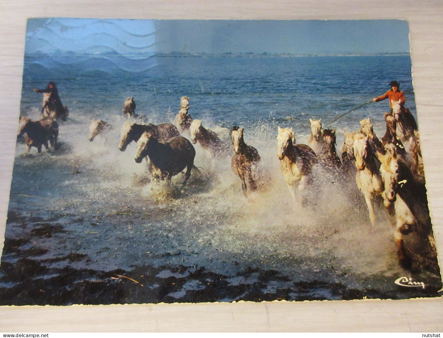 CP CARTE POSTALE GARD CAMARGUE CHEVAUCHEE En CAMARGUE - Ecrite                    - Andere & Zonder Classificatie