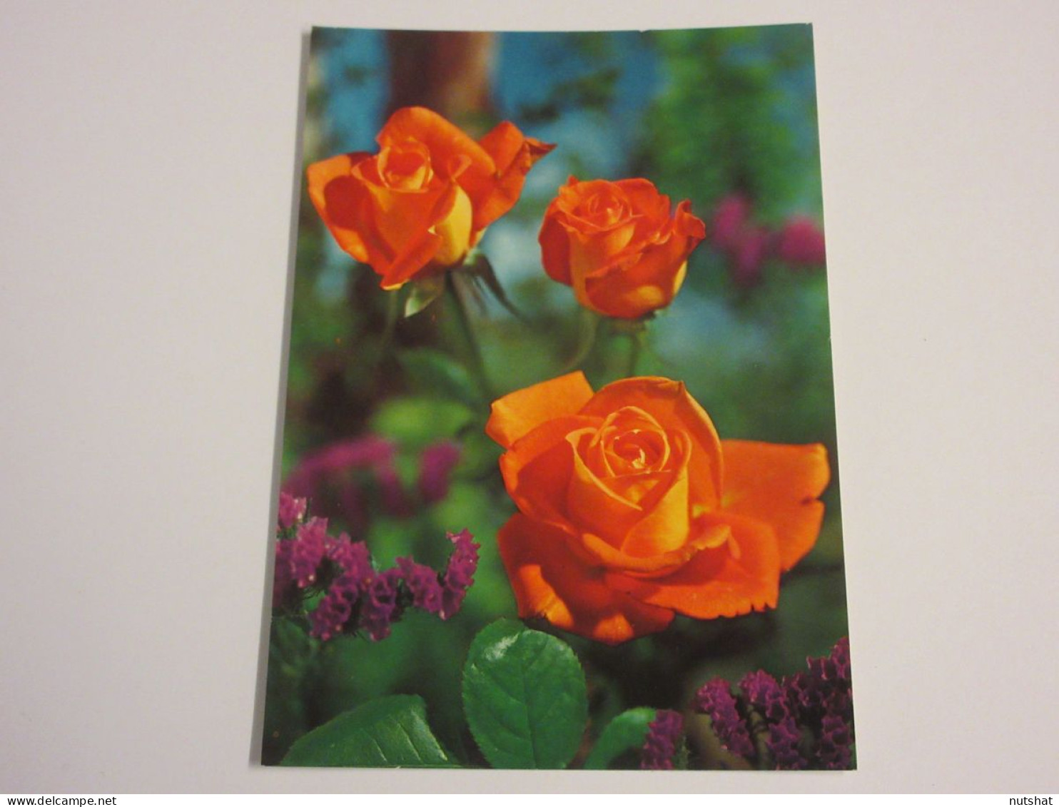 CP CARTE POSTALE FLEURS 3 ROSES ORANGERS - Vierge - Blumen