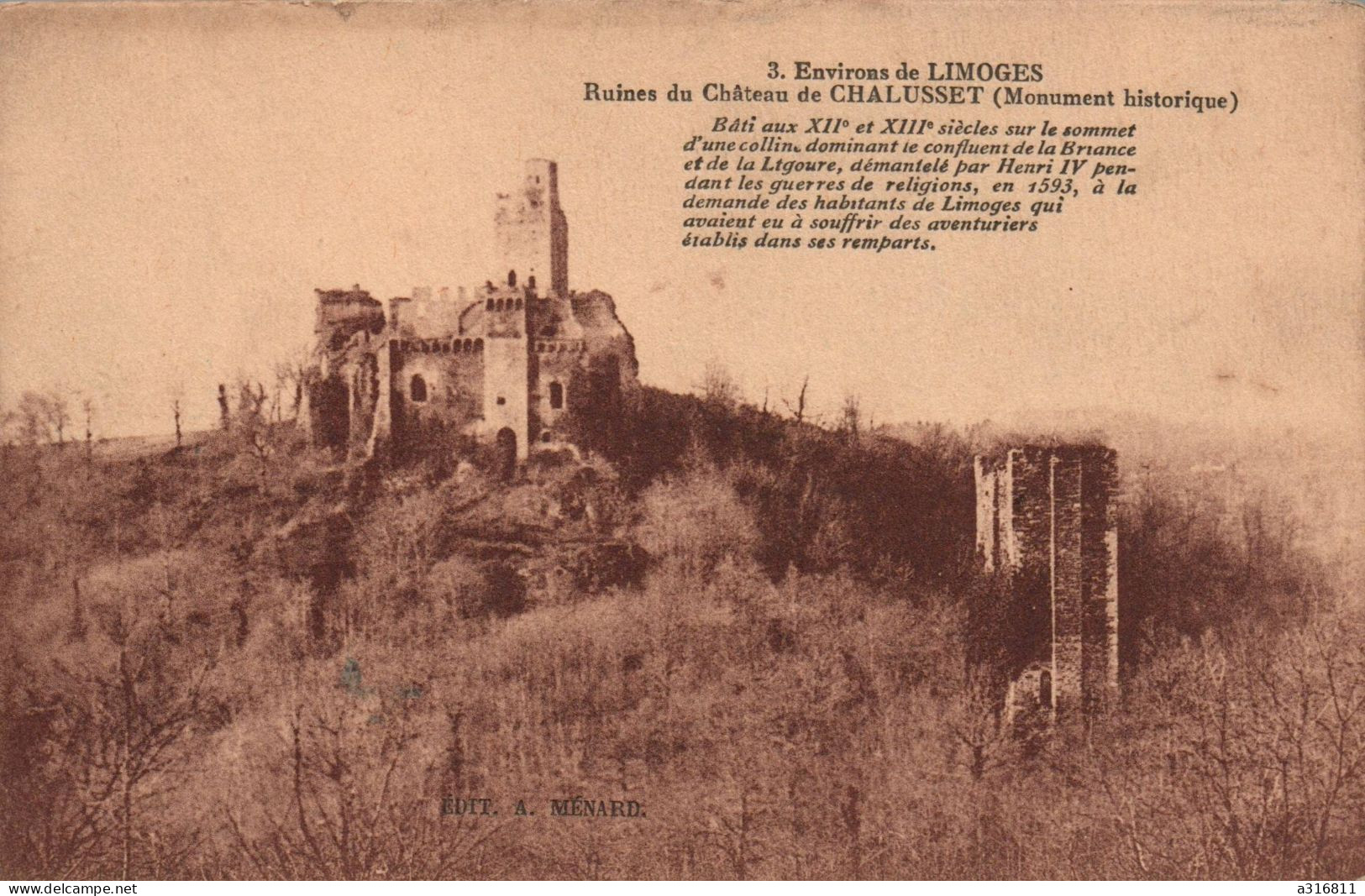 Ruines Du Chateau De Chalusset - Limoges