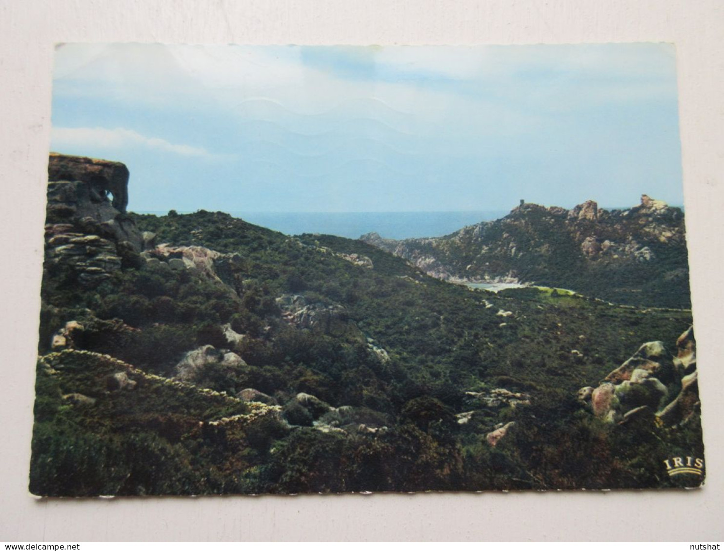 CP CARTE POSTALE CORSE ENTRE SARTENE Et BONIFACIO Le LION De ROCAPINA L'ELEPHANT - Autres & Non Classés