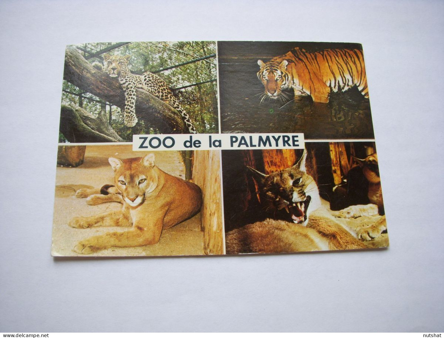 CP CARTE POSTALE CHARENTE MARITIME ROYAN ZOO De La PALMYRE - Ecrite - Royan