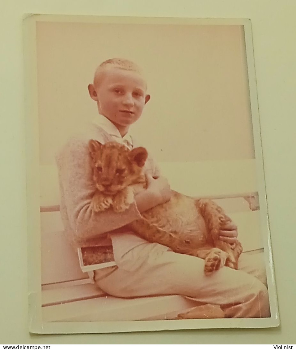 Boy And Baby Lion - Photo By Otto Feddeler, Berlin - Anonyme Personen