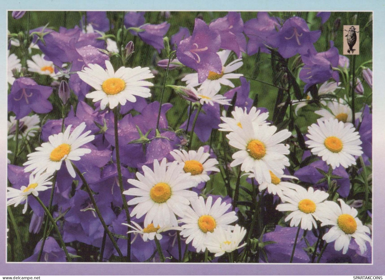FLOWERS Vintage Ansichtskarte Postkarte CPSM #PAS521.DE - Fleurs