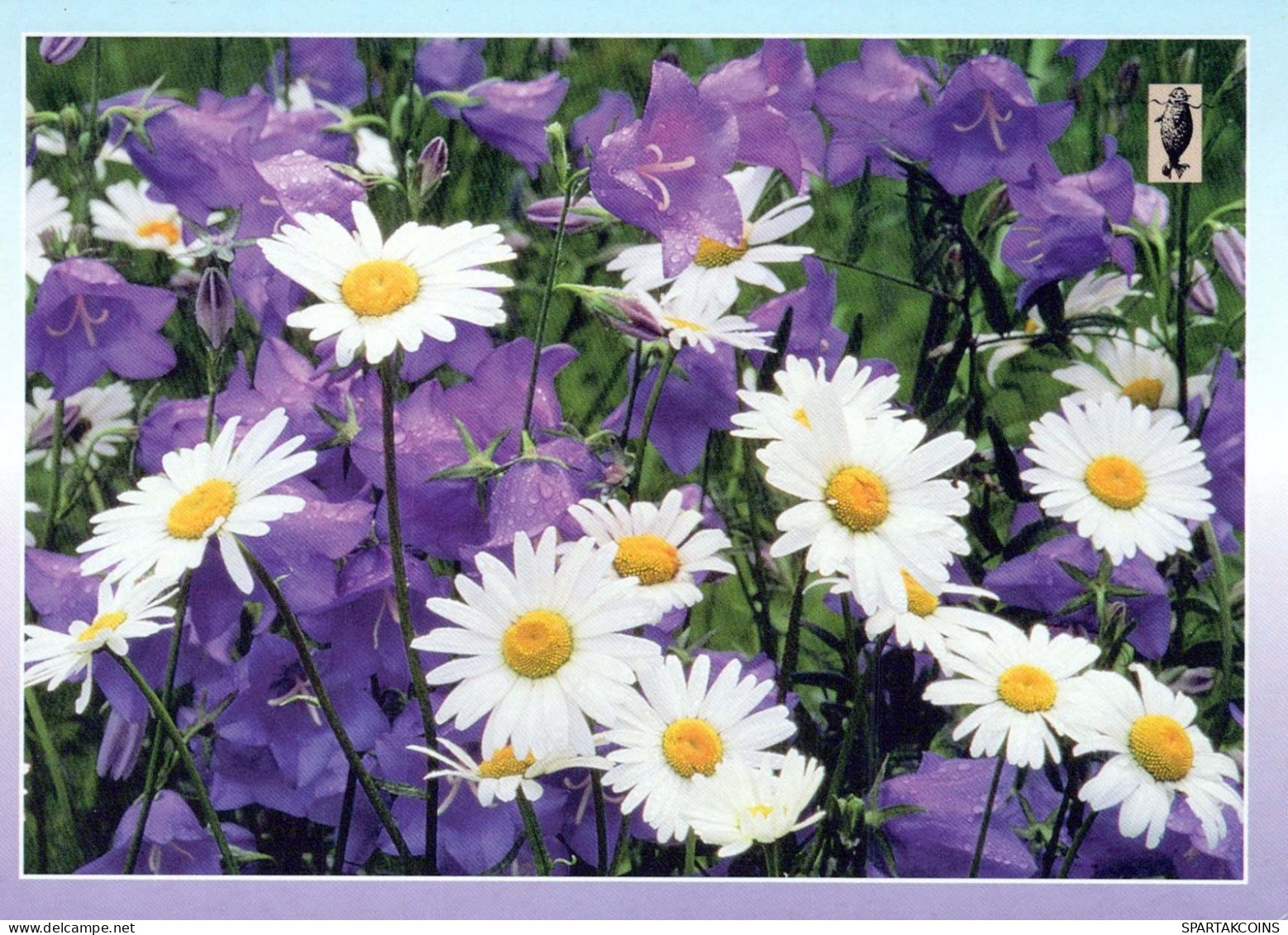 FLOWERS Vintage Ansichtskarte Postkarte CPSM #PAS521.DE - Blumen