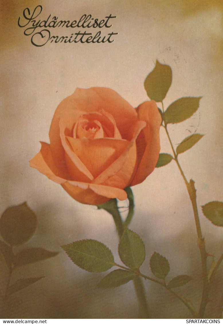 FLOWERS Vintage Ansichtskarte Postkarte CPSM #PAS341.DE - Fleurs