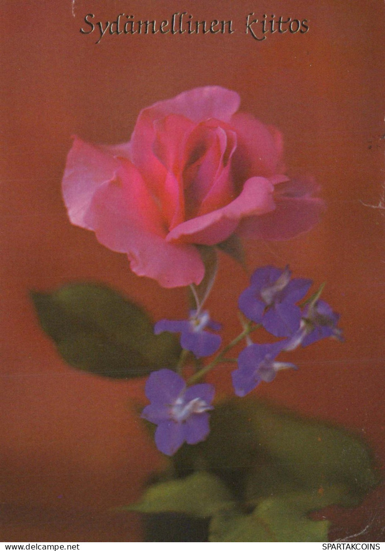 FLOWERS Vintage Ansichtskarte Postkarte CPSM #PAS281.DE - Blumen