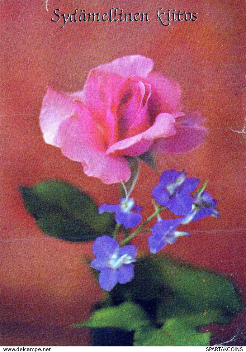 FLOWERS Vintage Ansichtskarte Postkarte CPSM #PAS281.DE - Blumen