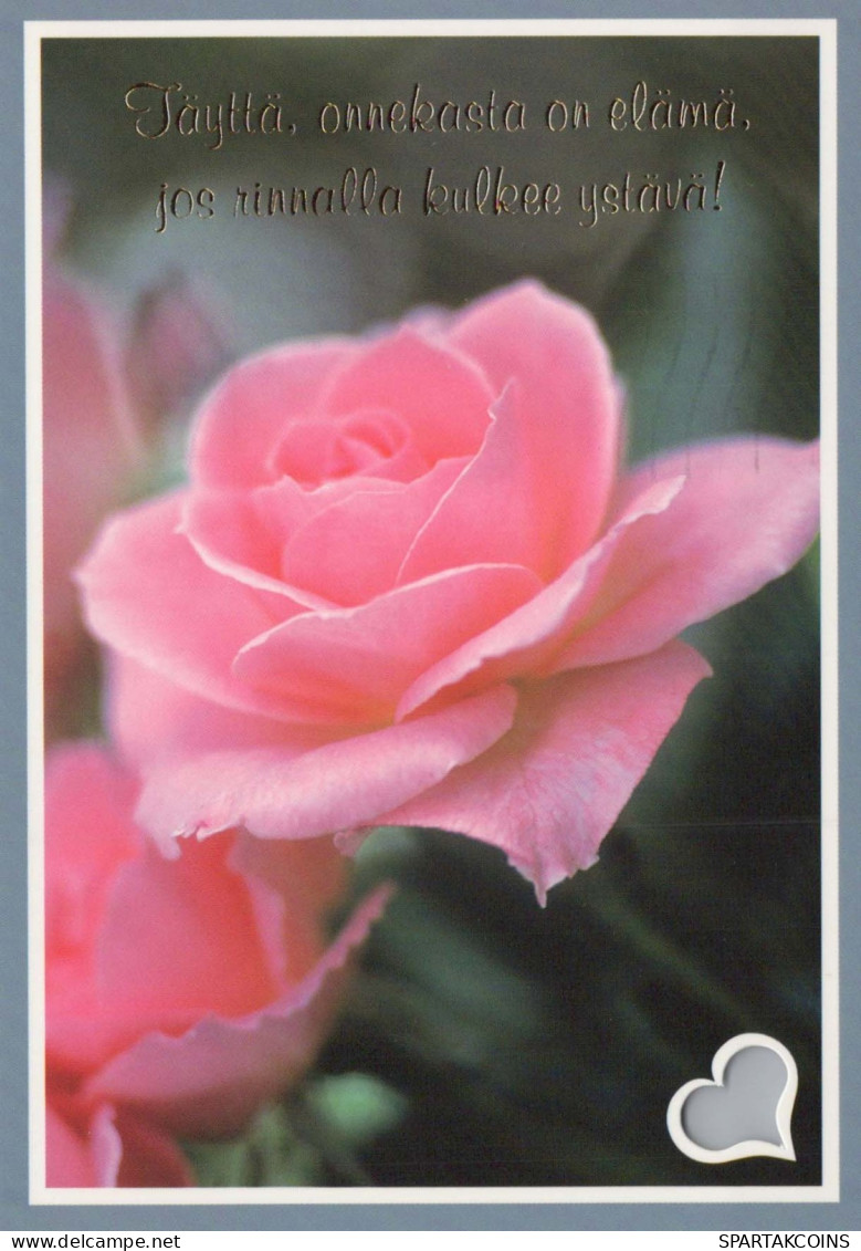 FLOWERS Vintage Ansichtskarte Postkarte CPSM #PAS221.DE - Fleurs