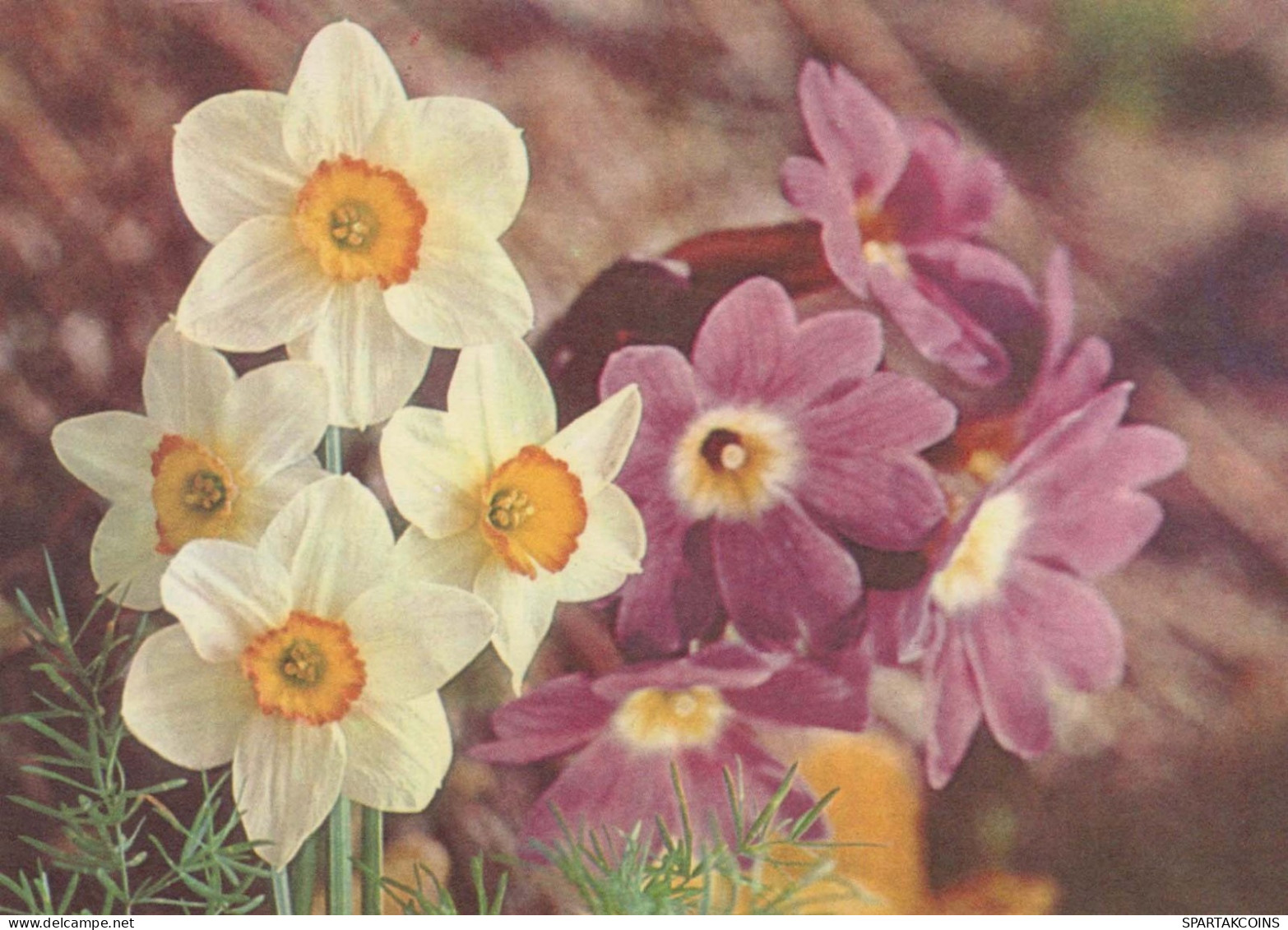 FLOWERS Vintage Ansichtskarte Postkarte CPSM #PAR440.DE - Blumen