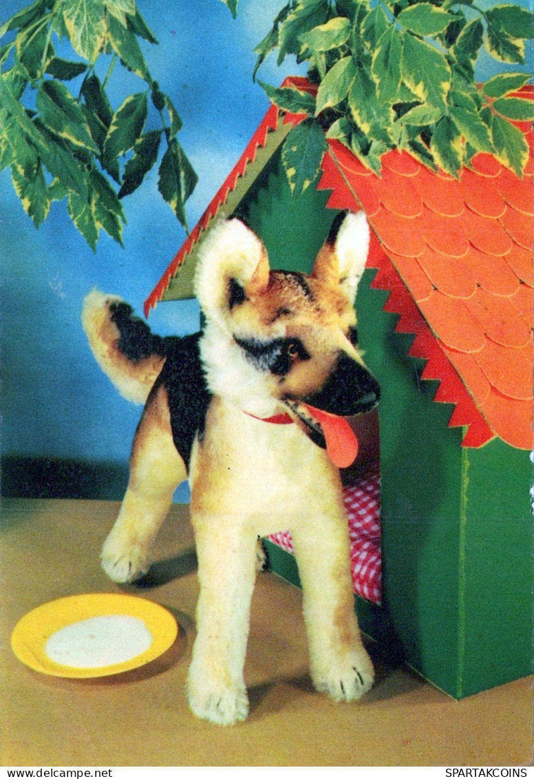HUND Tier Vintage Ansichtskarte Postkarte CPSM #PAN823.DE - Hunde